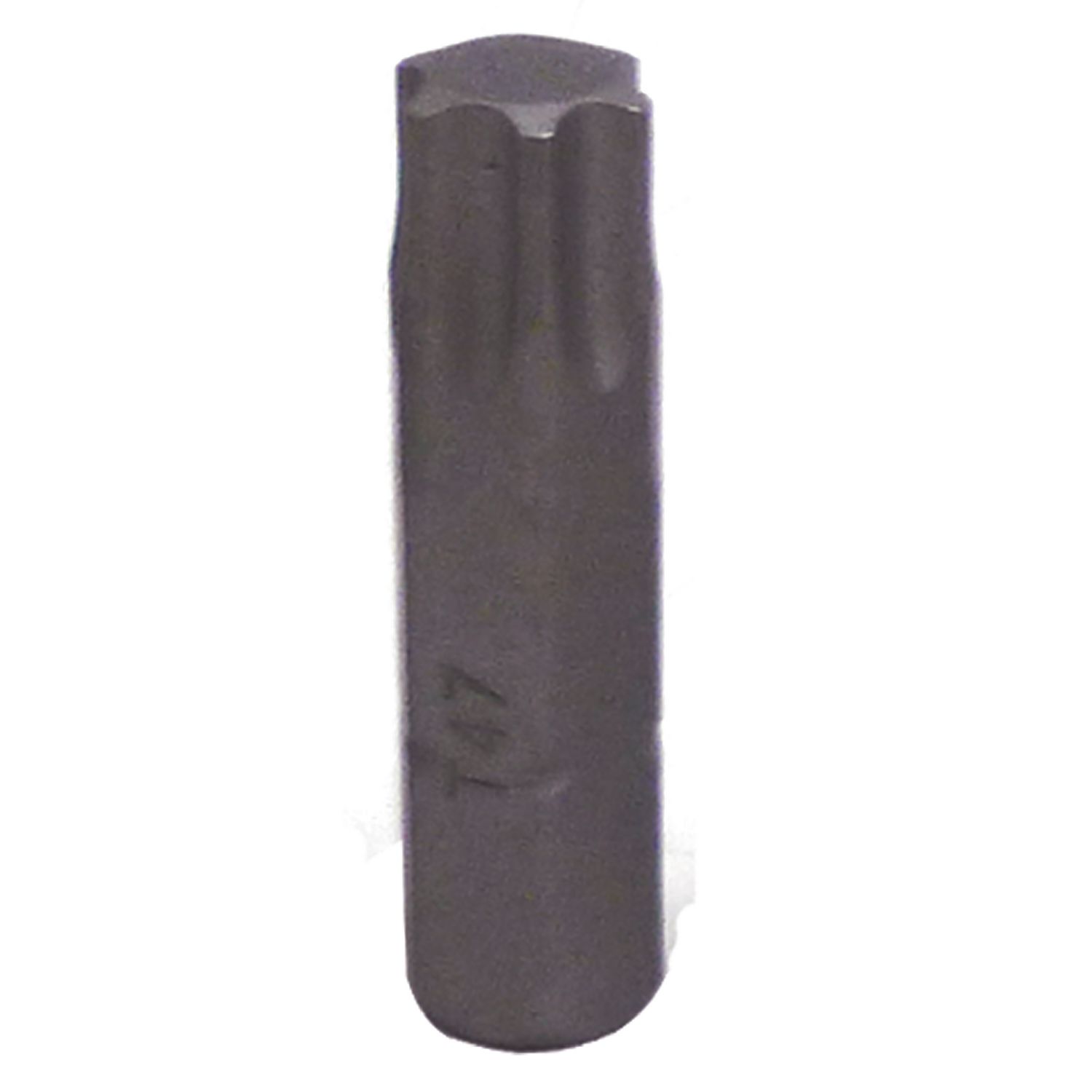 5/16 X 1-1/4 T47 TORX BIT BTX47BB | eBaydiy Tools