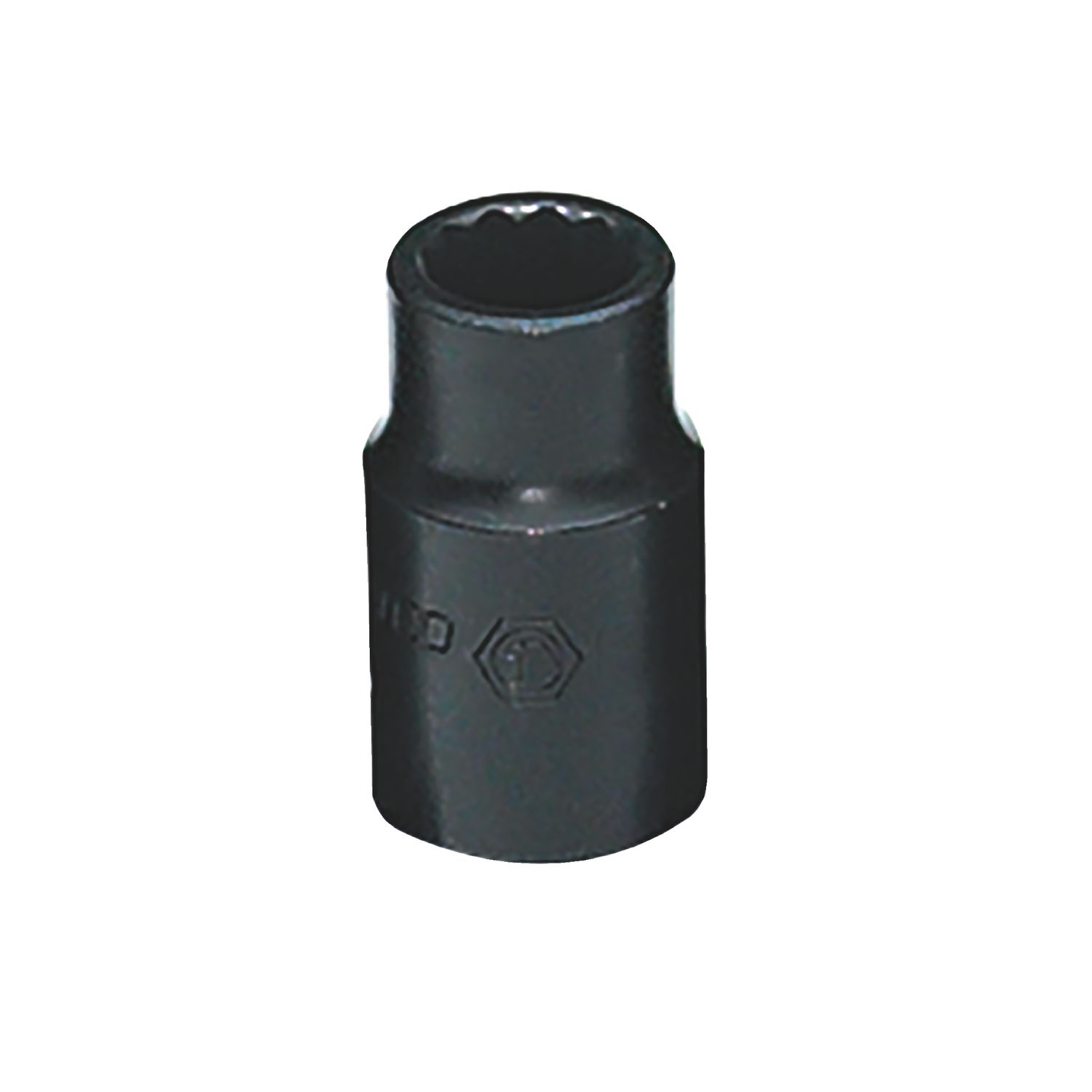 1/2 DRIVE 10MM METRIC 12 POINT IMPACT SOCKET CP10M2A | eBaydiy Tools